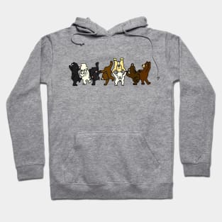 Dancing Bears Hoodie